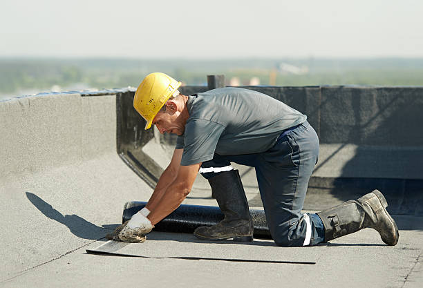 Best Insulation Inspection Services  in Pottsville, AR