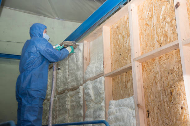 Best Spray Foam Insulation  in Pottsville, AR
